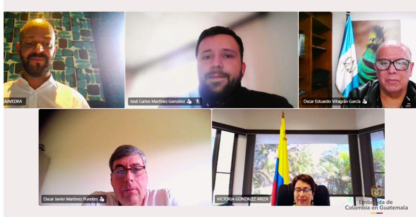 Reunión virtual